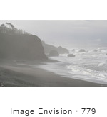 #779 Photography Of The Oregon Coast With Windblown Tree On A Cliff