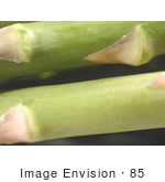 #85 Vegetable Picture Of Asparagus