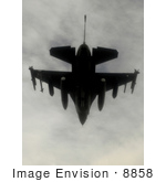 #8858 Picture Of An F-16cj Fighting Falcon