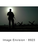 #8923 Picture Of A Soldier Looking Over Star Barricades