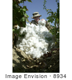 #8934 Picture Of A Soldier With Cotton