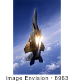 #8963 Picture Of A F-15e Strike Eagle