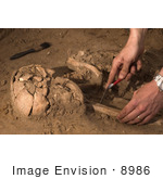 #8986 Picture Of Human Remains Found At The Raf Mildenhall