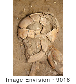 #9018 Picture Of Human Remains