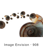 #908 Stock Photo Of A Ramshorn Shell Spitting Out Smaller Shells