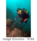 #9166 Picture Of A Man Using An Underwater Metal Detector