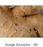 #93 Picture Of Ginger Root Spice