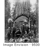 #9530 Picture Of Lumberjacks