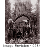#9564 Picture Of Lumberjacks