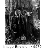 #9570 Picture of Posing Lumberjacks by JVPD