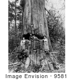#9581 Picture of a Lumberjack Posing in Tree by JVPD