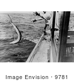 #9781 Picture Of Tossing A Swordfish