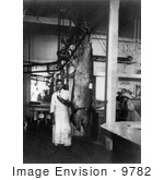 #9782 Picture Of A Man With A Giant Swordfish