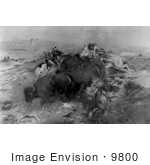 #9800 Picture of Indians Killing Buffalo by JVPD