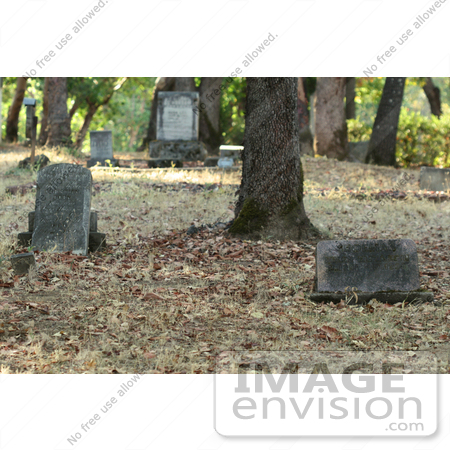 #1034 Photography of Gravestones in a Cemetery by Kenny Adams