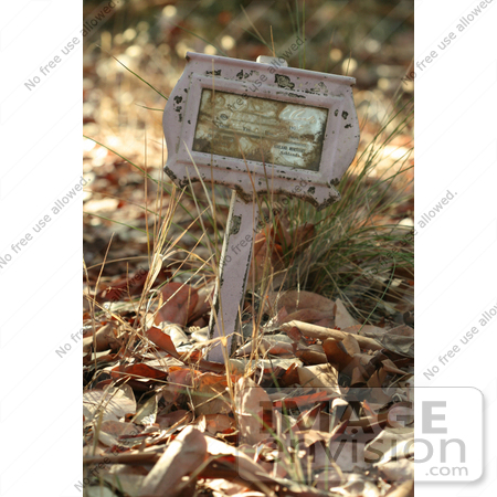 #1043 Photography of a Pink Grave Tag by Kenny Adams