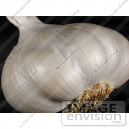 #107 Picture of a Garlic Bulb by Kenny Adams
