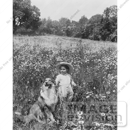#10755 Picture of a Child and a Collie Dog in a Field by JVPD