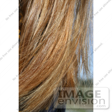 #1080 Photograph of a Woman's Hair With a Color Weave by Jamie Voetsch