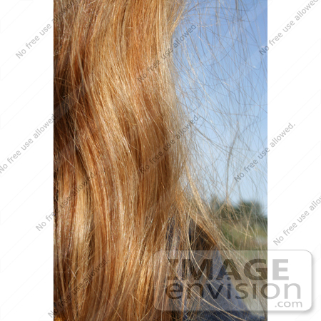 #1081 Image of a Woman's Hair With a Color Weave by Jamie Voetsch