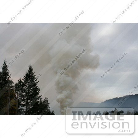 #1082 Image of a Plume of Smoke from a Bonfire by Jamie Voetsch