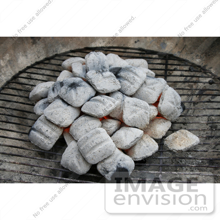 #10899 Picture of Ash Coated Charcoal on a Grill by Jamie Voetsch