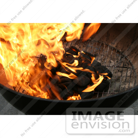 #10902 Picture of Burning Charcoal on a Grill by Jamie Voetsch