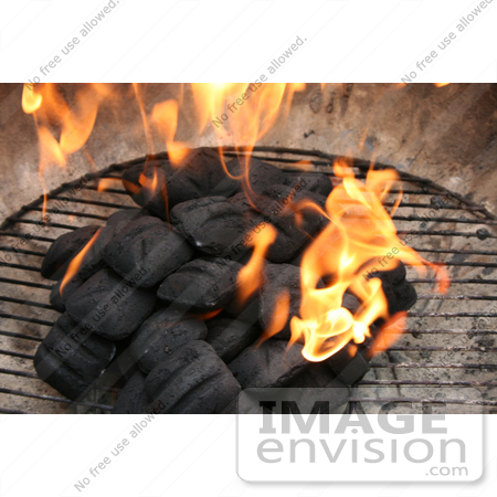 #10903 Picture of Charcoal Briquettes Combusting Into Flames by Jamie Voetsch