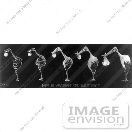 #10935 Picture of Evolution of a Snake Into a Stork by JVPD