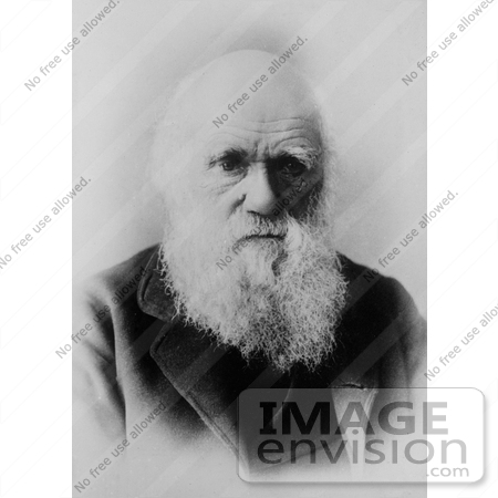 #10939 Picture of Charles Darwin by JVPD