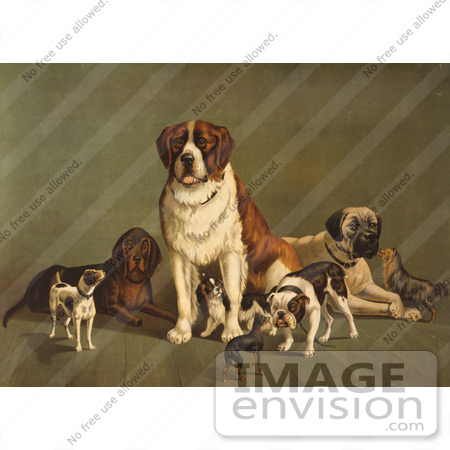 #11110 Stock Illustration of a Group Of Dogs; St Bernard, Hound, Mastiff, Bulldog, Jack Russell Terrier, A King Charles Spaniel And Two Other Little Dogs At The New England Kennel Club's Dog Show by JVPD