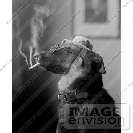 #11115 Picture of a Dog Smoking by JVPD