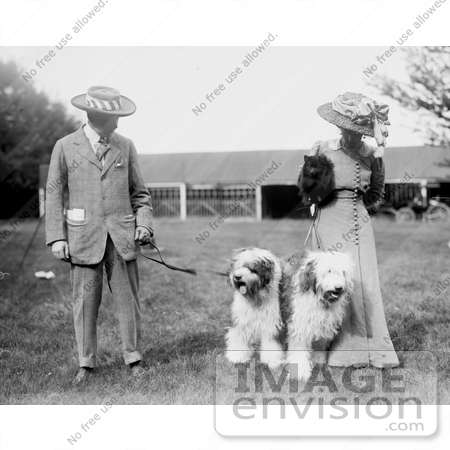 #11118 Picture of a Couple With Old English Sheepdogs by JVPD