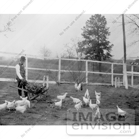 #11365 Picture of Booker Taliaferro Washington Feeding Chickens by JVPD