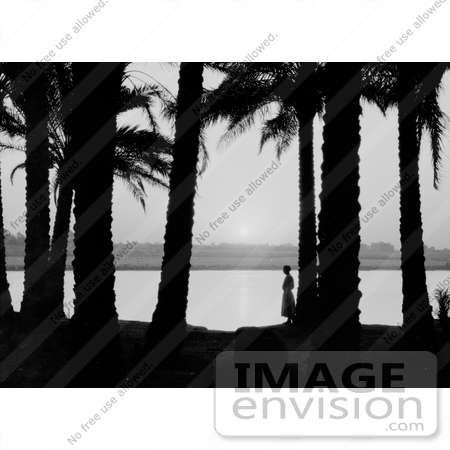 #11443 Picture of a Woman by Palm Trees by JVPD