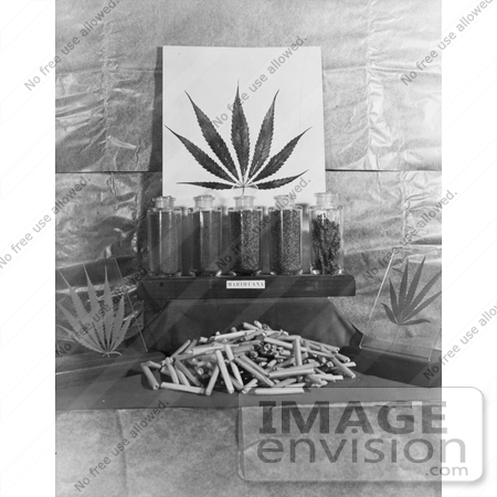 #11447 Picture of Marijuana Products by JVPD