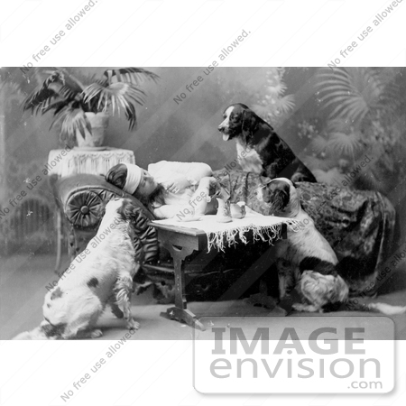 #11453 Picture of a Sick Woman With Dogs by JVPD