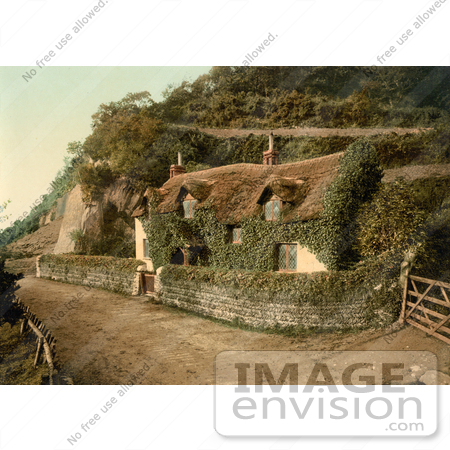 #11766 Picture of an Ivy Covered Cottage in England by JVPD
