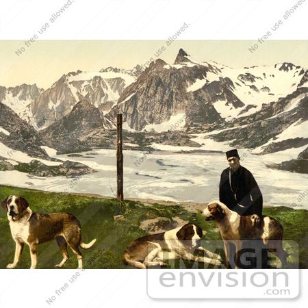 #11781 Picture of a Man with St Bernard Dogs by JVPD