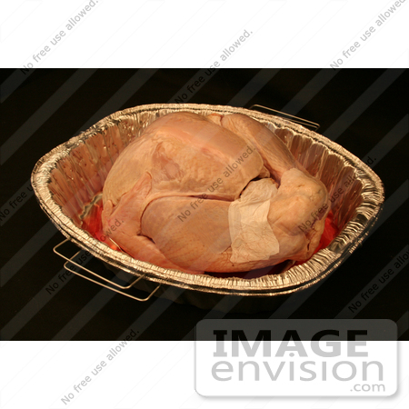 #1196 Picture of a Raw Uncooked Turkey in a Cooking Pan by Kenny Adams