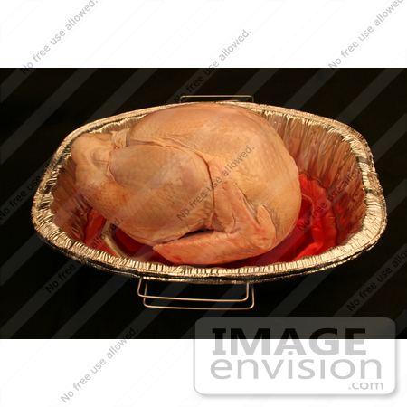 #1197 Thawed and Fresh Thanksgiving Photography by Kenny Adams