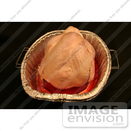 #1198 Photography of a Uncooked Thanksgiving Turkey by Kenny Adams