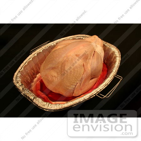 #1199 Thanksgiving Photography of a Raw Turkey in a Pan by Kenny Adams