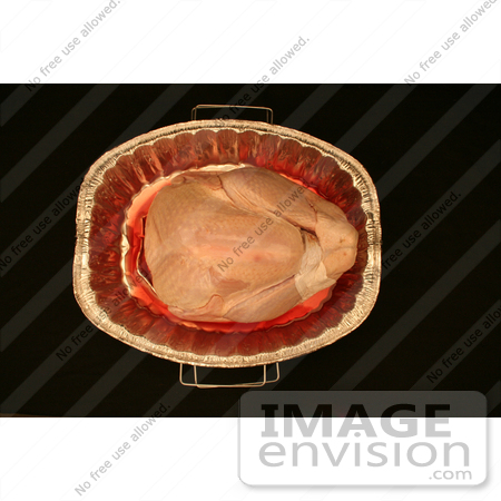 #1200 Thanksgiving Photo of a Raw Turkey in a Cooking Pan by Kenny Adams