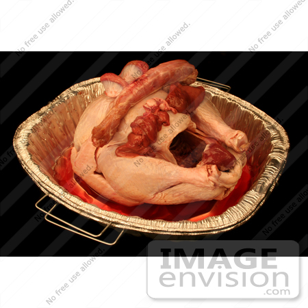 #1202 Thanksgiving Photography of a Heart, Liver, Gizzard, and Neck on a Raw Turkey by Kenny Adams