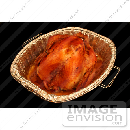 #1205 Photo of a Oven Roasted Thanksgiving Turkey by Kenny Adams
