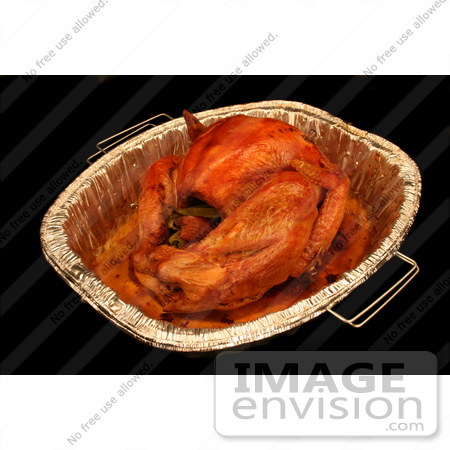 #1207 Photography of a Cooked Thanksgiving Turkey by Kenny Adams