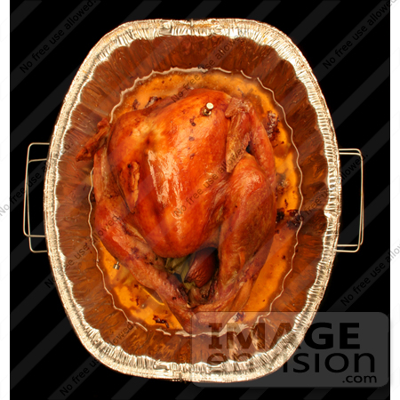 #1208 Photography of the Top of an Oven Roasted Thanksgiving Turkey by Kenny Adams