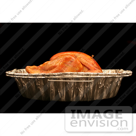 #1209 Photography of a Cooked Thanksgiving Turkey in Pan from the Side by Kenny Adams