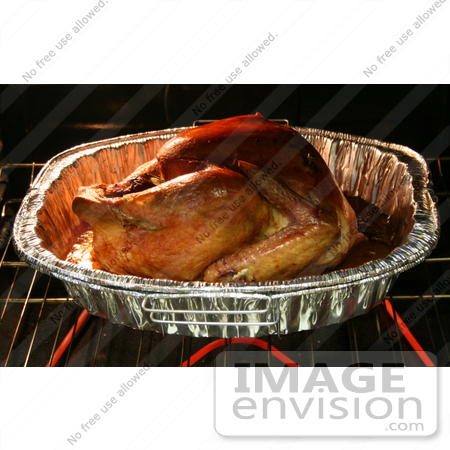 #1210 Photography of a Thanksgiving Turkey Roasting in a Oven by Kenny Adams